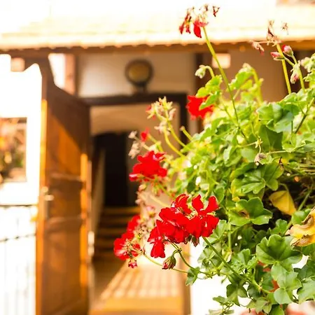 Πανσιόν Marie Český Krumlov