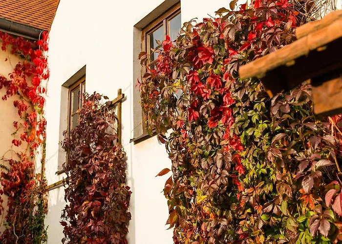 招待所 佩西恩玛丽酒店 Český Krumlov