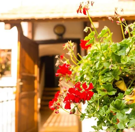 招待所 佩西恩玛丽酒店 Český Krumlov