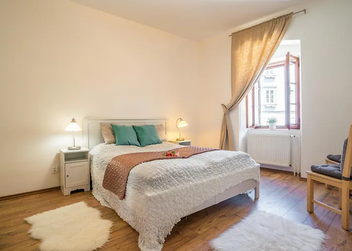 佩西恩玛丽酒店 3* Český Krumlov