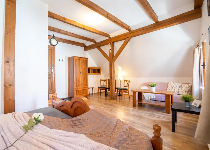 佩西恩玛丽酒店 3* Český Krumlov