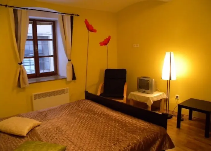 佩西恩玛丽酒店 3* Český Krumlov